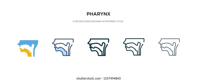 pharynx icon in different style vector illustration. two colored and black pharynx vector icons designed in filled, outline, line and stroke style can be used for web, mobile, ui