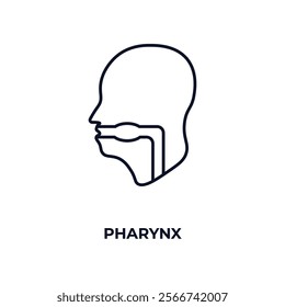 pharynx outline icon. Linear vector from medical concept. Thin line pharynx icon isolated on white background