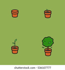 Phase growth of a young tree in a clay pot