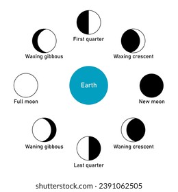 Phase of the moon diagram. The moon orbits around the earth. Third quarter, waning gibbous, full moon, waxing gibbous, first quarter, waxing crescent, new moon and waning crescent. Vector illustration