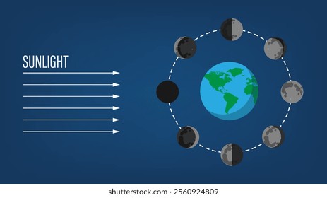 Phase of the moon diagram. The moon orbits around the earth. Third quarter, waning gibbous, full moon, waxing gibbous, first quarter, waxing crescent.