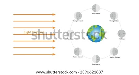 Phase of the moon diagram. The moon orbits around the earth. Third quarter, waning gibbous, full moon, waxing gibbous, first quarter, waxing crescent, new moon and waning crescent. Vector illustration