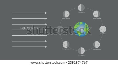 Phase of the moon diagram. The moon orbits around the earth. Third quarter, waning gibbous, full moon, waxing gibbous, first quarter, waxing crescent, new moon and waning crescent. Vector illustration