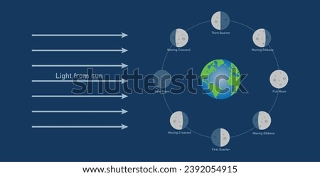 Phase of the moon diagram. The moon orbits around the earth. Third quarter, waning gibbous, full moon, waxing gibbous, first quarter, waxing crescent, new moon and waning crescent. Vector illustration