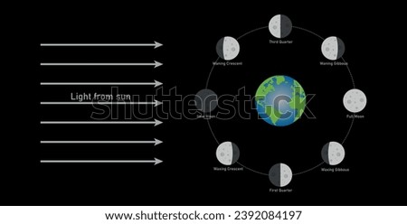 Phase of the moon diagram. The moon orbits around the earth. Third quarter, waning gibbous, full moon, waxing gibbous, first quarter, waxing crescent, new moon and waning crescent. Vector illustration