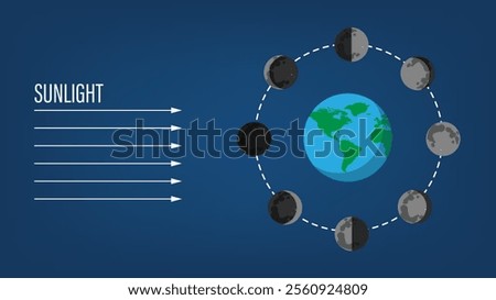 Phase of the moon diagram. The moon orbits around the earth. Third quarter, waning gibbous, full moon, waxing gibbous, first quarter, waxing crescent.