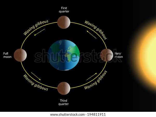 phase of the\
moon. The relation of the phases of the Moon with its revolution\
around Earth. Vector\
diagram