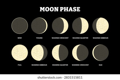 Phase of the moon phase stages vector illustration. Lunar eclipse vector The shadow of the world obscures the moon. new, young, crescent quarter waxing and wanning, full moon. Vector illustration.