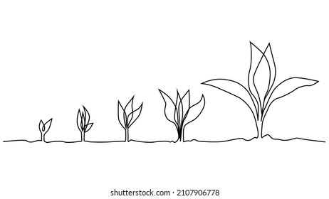 Phase of plant life continuous one line drawing minimalist illustration from seed, root and leaves