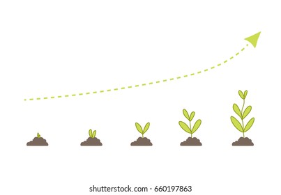 Phased growth of plants
