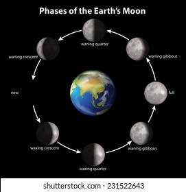 Phases of the Earth's Moon on a black background