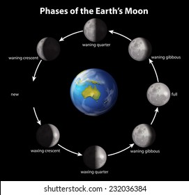 Phases of the Earth's moon on a black background