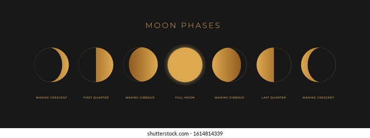 Fases de una luna de oro sobre fondo negro. Todo el ciclo de luna nueva a luna llena. Ilustración vectorial de la astronomía y el calendario lunar.