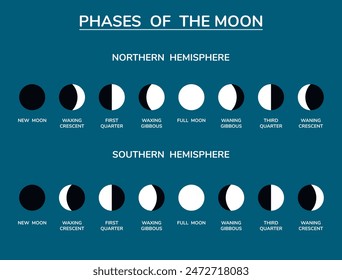 The Phases of the Moon, background. Education. Science. School. Vector illustration.