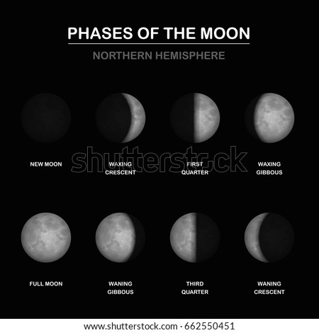 Phases of the moon chart, northern hemisphere, new and full moon, waxing and waning crescent and gibbous, first and third quarter - different shapes of illuminated portions. Vector illustration.