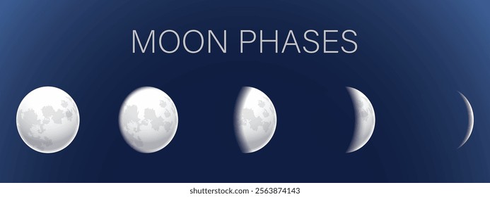 Phases of the moon with craters. Vector on a blue background