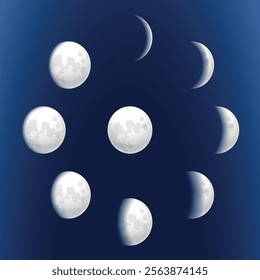 Phases of the moon with craters. Vector on a blue background