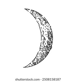 fases luna dibujado a mano. mareas de órbita, exploración de superficie, aterrizaje fases Apolo Vector lunar boceto. ilustración negra aislada