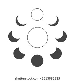 Phases of moon infographic. New, Full, Waning Crescent, First and Last Quarter moon.