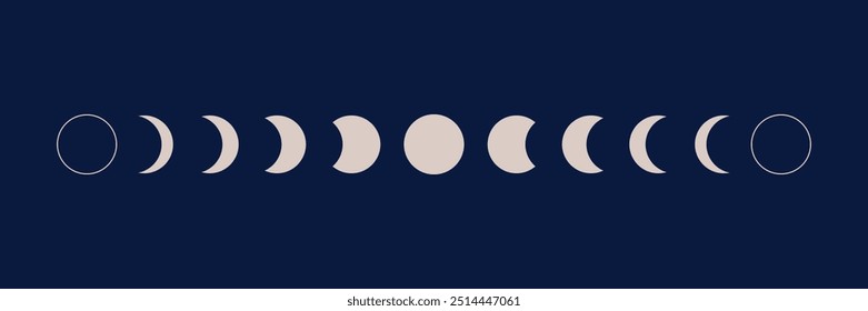 Phases of moon infographic. New, Full, Waning Crescent, First and Last Quarter moon.