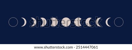 Phases of moon infographic. New, Full, Waning Crescent, First and Last Quarter moon.