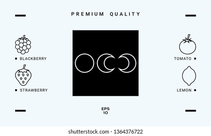 Phases of the moon - line icons. Graphic elements for your design
