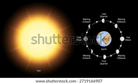 Phases of the Moon. Lunar Cycle Diagram Showing Sun, Earth and Moon Positions. New Moon, Waxing Crescent, First Quarter, Waxing Gibbous, Full Moon, Waning Gibbous, Last Quarter and Waning Crescent.