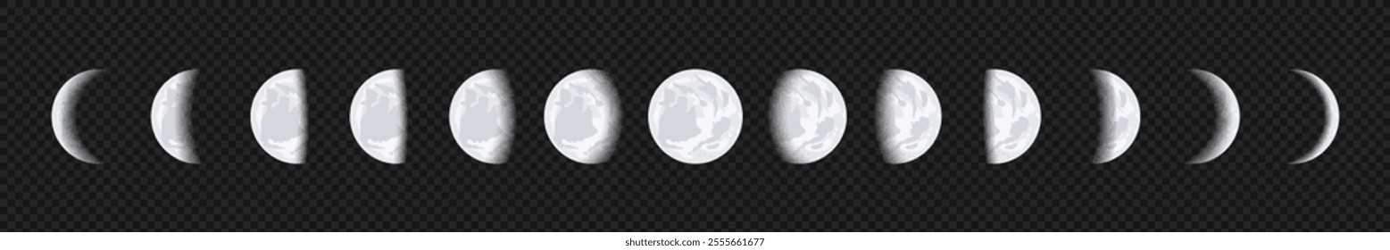 Phases of the Moon. Lunar Cycle. Planet Vector Moon on Transparent Background