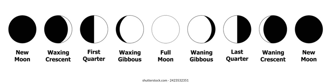 Fases de la Luna. Conjunto de vectores de iconos de fase lunar. Decoración de la ilustración de un eclipse de silueta negra. Nueva Luna Llena Waxing Crescent El Primer Trimestre Pasado Waning Gibbous.