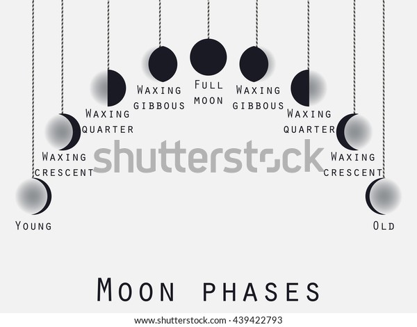 The phases of the moon. Lunar phase. Moon\
stages. Vector\
illustration.