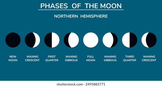 The Phases of the Moon. Northern hemisphere. Background. Education. Science. School. Vector illustration.