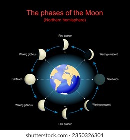 The phases of the Moon for Northern hemisphere. Lunar cycle. Moon phases depends on the Moon's position in orbit around the Earth and the Earth's position in orbit around the sun. Vector illustration