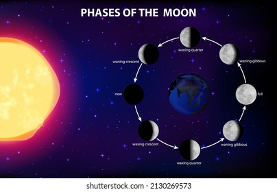 Phases of the moon for science education illustration