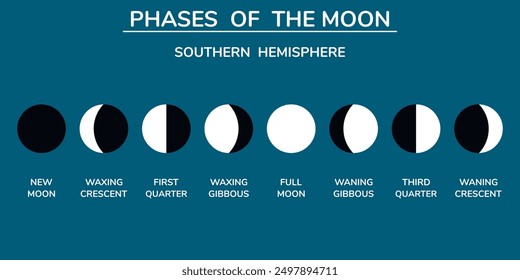 The Phases of the Moon. Southern hemisphere. Background. Education. Science. School. Vector illustration.