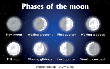 Phases of the Moon - There are eight phases of the Moon