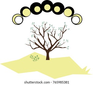 Phases of the Moon and tree in the desert illustration 