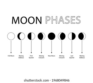 The phases of the Moon Vector
