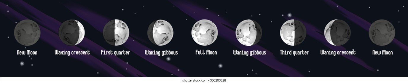 Phases of Moon, vector illustration