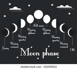 The phases of the moon. Vector illustration.