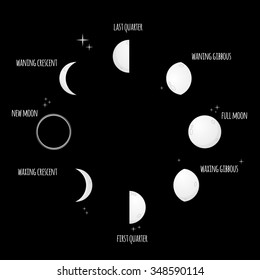 Phases of the moon vector illustration