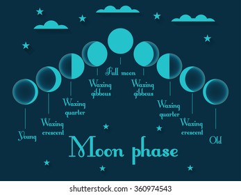 The phases of the moon. Vector illustration.