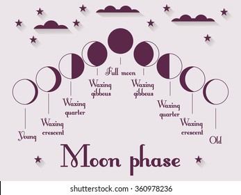 The Phases Of The Moon. Vector Illustration.