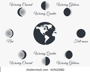 The phases of the moon. Vector illustration.