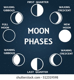 The phases of the moon. Vector illustration