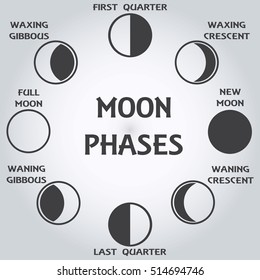 Die Mondphasen. Vektorgrafik