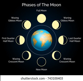 Fases de la ilustración vectorial de la luna. Serie de fases terrestres y lunares con infografía sobre la sombra y la luz de la luna