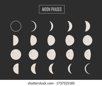 The phases of the moon vector illustration. The whole cycle from new moon to full. Vector illustration