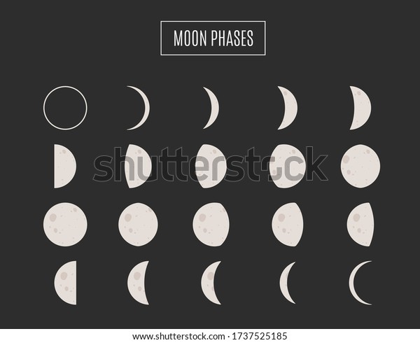 Phases Moon Vector Illustration Whole Cycle Stock Vector (Royalty Free ...