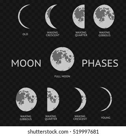 Phases of moon. Whole Astronomy Cycle on a Transparent Background. Vector illustration