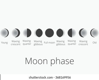 The phases of the moon. The whole cycle from new moon to full. Vector illustration.